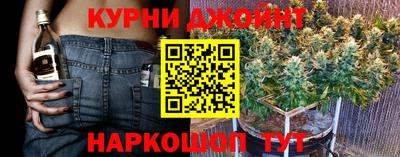 амф Кандалакша