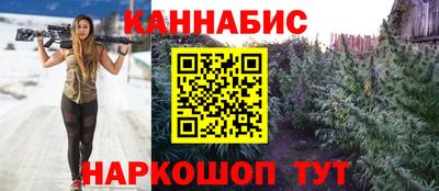 амф Кандалакша