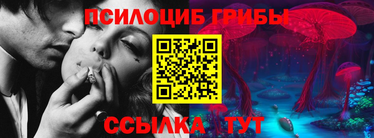 Галлюциногенные грибы Cubensis  Вход с VPN  Шумерля  Галлюциногенные грибы Psilocybine cubensis 